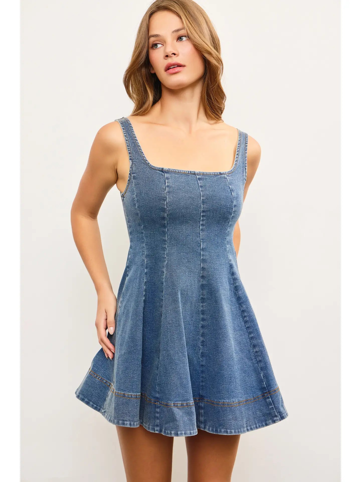 Flare Seamed Sleeveless Denim Dress